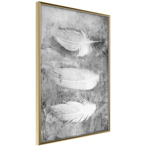  Poster - Delicate Feathers 40x60 Slike