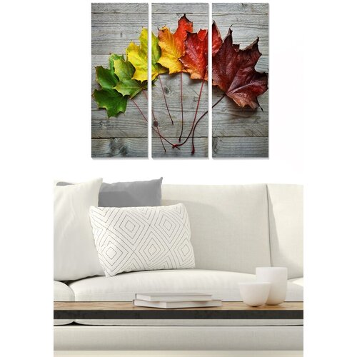 Wallity Set slika MDF465000707, 3 dijela Cijene