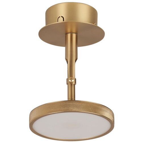 UMAGE LED točkovno svetilo v zlati barvi &amp;oslash; 12 cm Asteria Spot &amp;ndash; Slike