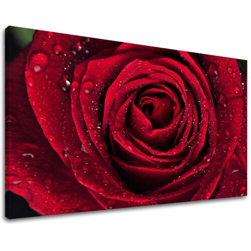  Slike na platnu cveće  (moderne slike na platnu) Cene