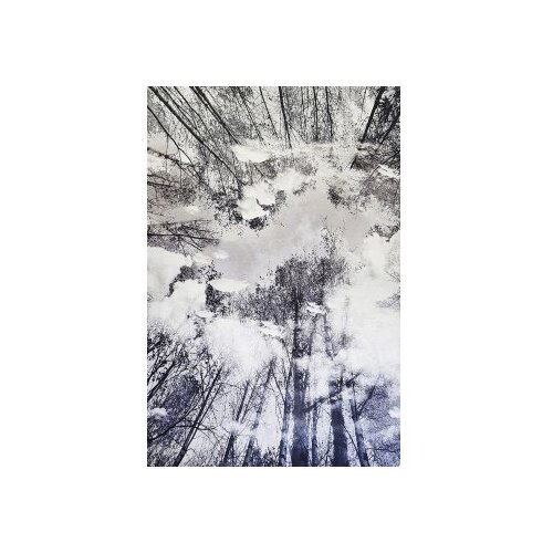 Conceptum Hypnose tepih staza (80x120) Hmnt787 Slike