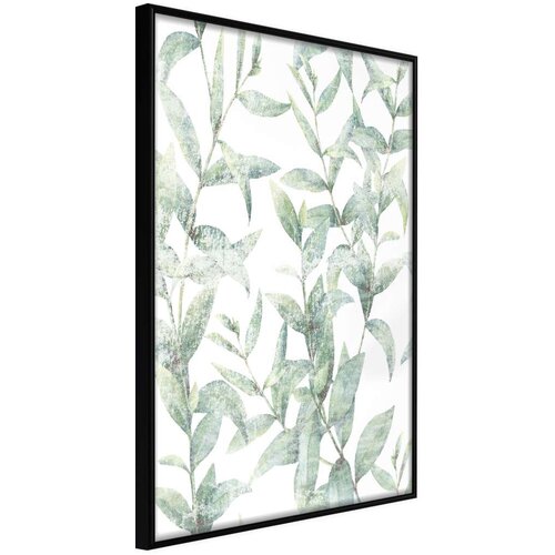  Poster - Sheer Batiste 30x45 Cijene