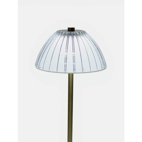Sinsay LED noćna lampa s rebrastim sjenilom i zlatnom bazom Slike