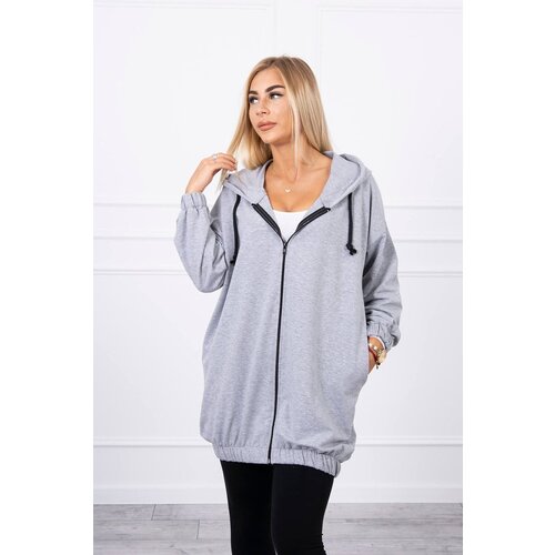 Kesi Sweatshirt with "The World is Yours" print gray Cene