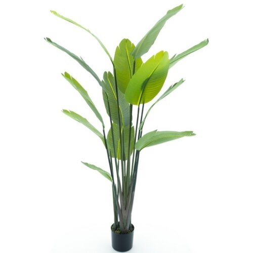 Dekordom 52052 Drvo u saksiji strelitzia palm 187cm -1 - nnt ( 040070 ) Cene