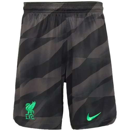 Nike Športne hlače antracit / barva blata / neonsko zelena