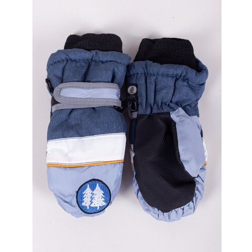 Yoclub Kids's Children's Winter Ski Gloves REN-0216C-A110 Slike