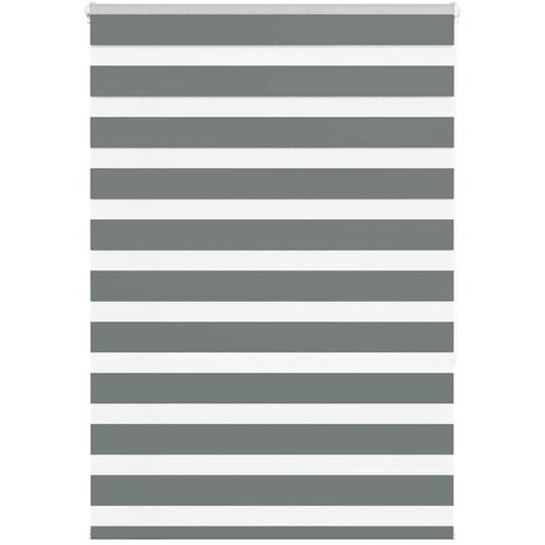 vidaXL Zebra senčilo temno sivo 95x150 cm tkanina širina 90,9 cm Cene