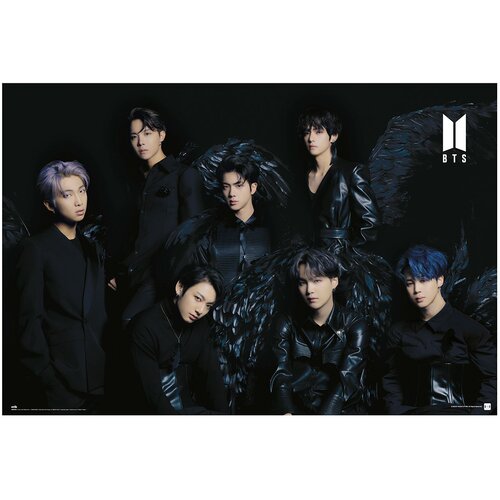 Grupo PLAKAT BTS BLACK WINGS, (20837549) Cene