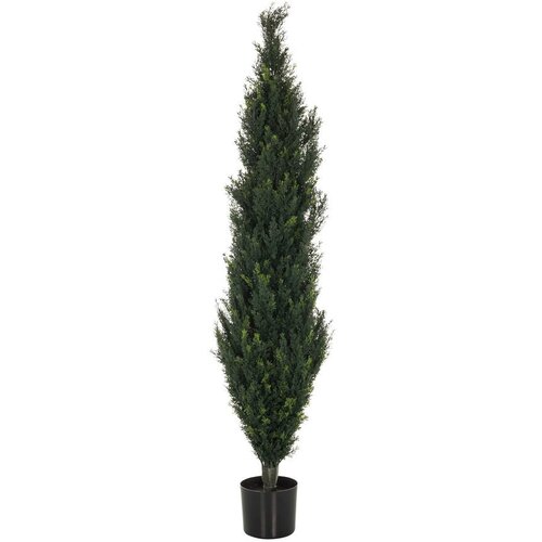 MID.YOU Umetna Rastlina Cedrus Slike