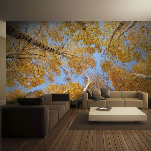  tapeta - Autumnal treetops 300x231