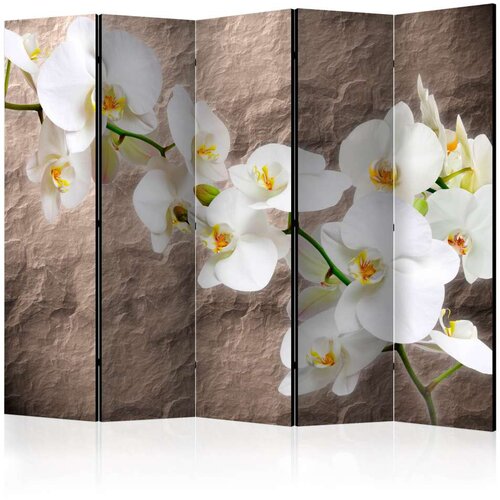  Paravan u 5 dijelova - Impeccability of the Orchid II [Room Dividers] 225x172 Cijene
