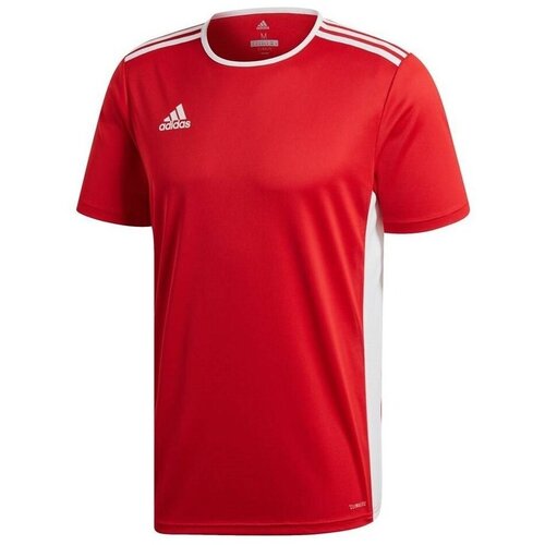Adidas Majice s kratkimi rokavi Entrada 18 Bela Slike