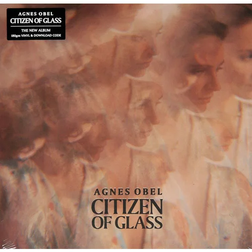 PLAY IT AGAIN SAM - Citizen of Glass