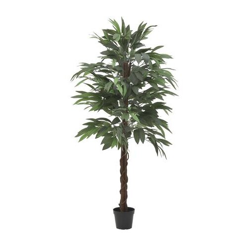  CVIJEĆE PVC ZELENO Υ160CM Cijene