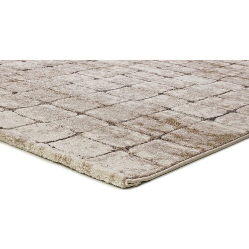 Universal Sivo-bež preproga 200x285 cm Ceres &amp;ndash; Slike