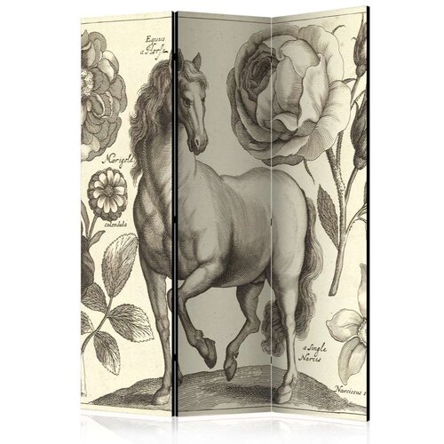  Paravan u 3 dijela - Horse [Room Dividers] 135x172 Cijene