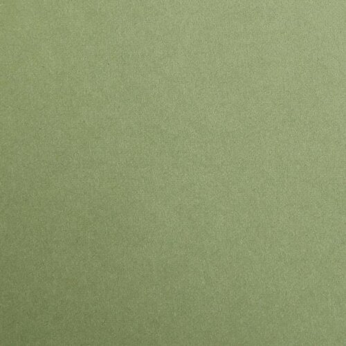 Clairefontaine kartoni Maya khaki A4/270gr 1/25 Cijene
