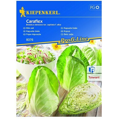 KIEPENKERL Profi-Line Sjeme povrća Kupus Caraflex (Brassica oleracea var. capitata f. alba, Berba: Lipanj) Slike