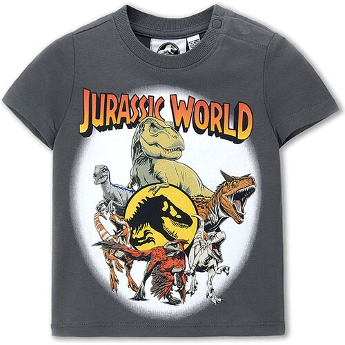 Original Marines majica KR DGPV0350NM DGPV0350NM JURASSIC WORLD M siva 86 Cijene