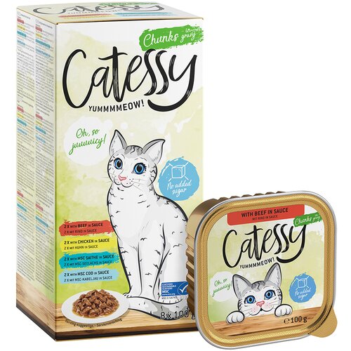 Catessy Mješovito pakiranje u zdjelicama 8 x 100 g - Zalogajčići u umaku Mix Cijene
