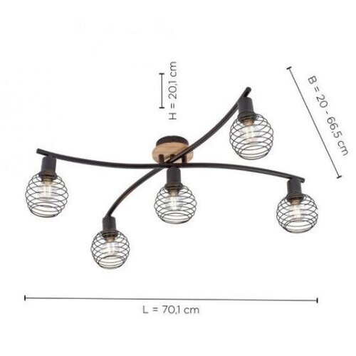 PAUL NEUHAUS Leuchten Direkt 15925-79 - Plafonski luster EUGEN 5xE14/40W/230V Cene