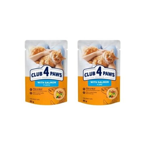 Normandise Club4Paws sos za mačke Cat - Losos u želeu 85g Cene