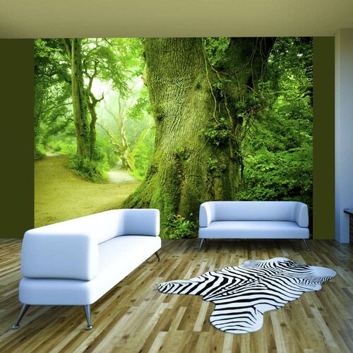  Tapeta - Forest pathway 250x193 Slike