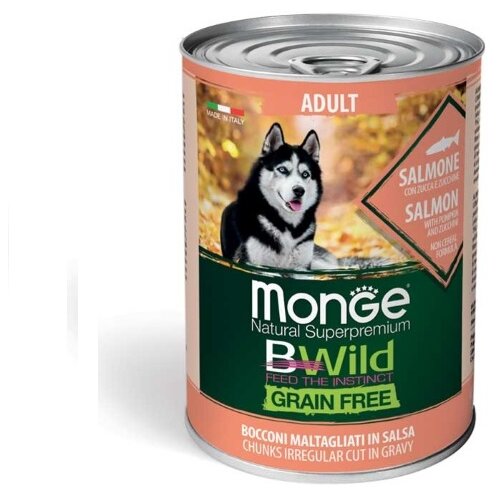 MONGE BWILD vlažna hrana za odrasle pse - losos 400g Cene