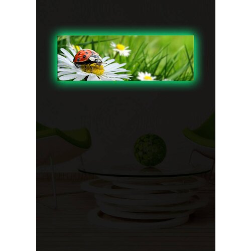 Wallity Slika sa LED osvetljenjem 3090DACT-10, 30x90 cm Cene