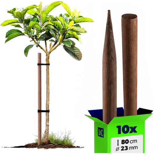 KADAX leseni koli, impregnirani koli 80 cm, podporne palice, 10 kosov, Fi 23 mm, (5000362590) Cene