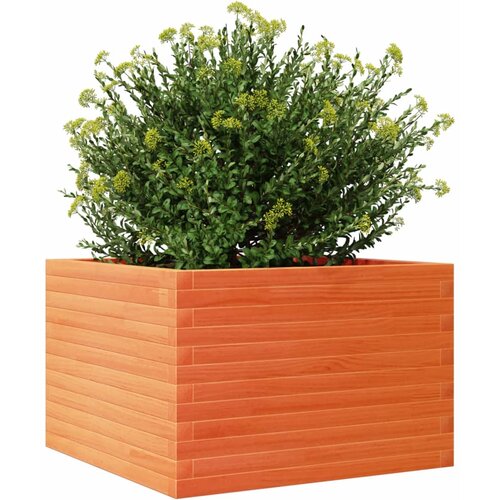  Vrtna sadilica vo&amp;scaron;tano smeđa 70x70x45,5 cm masivna borovina Slike