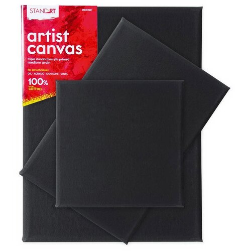 Professional Standart canvas, blind ram, crna - odaberite dimenziju Cene