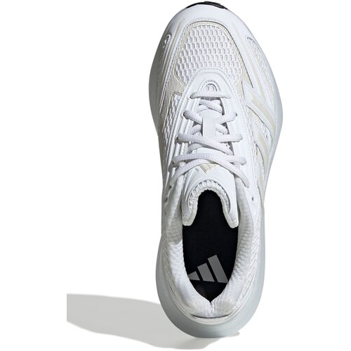Adidas Nizke superge &amp;#039;LIGHTBLAZE GLOW&amp;#039; &amp;scaron;ampanjec / siva / bela Slike