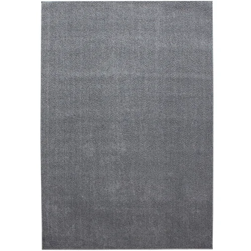 Ayyildiz Carpets Sivi tepih 80x150 cm Ata –