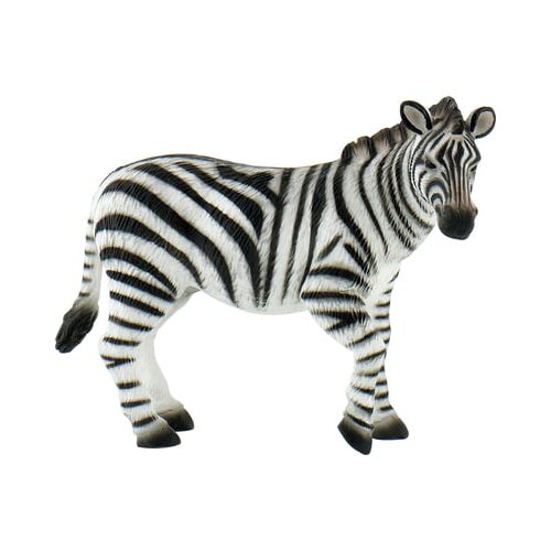  Safari - Zebra Cene