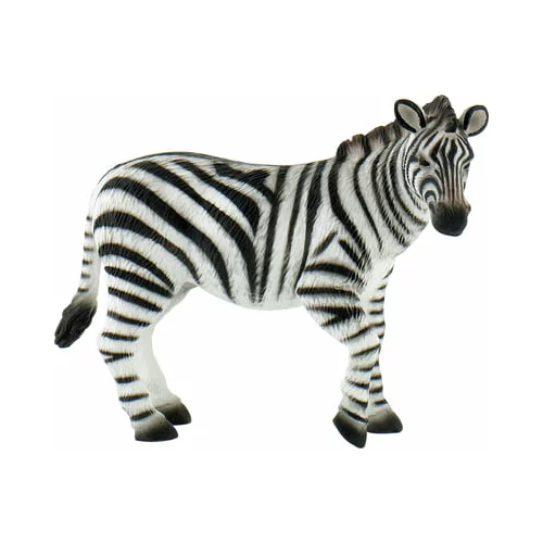  Safari - Zebra