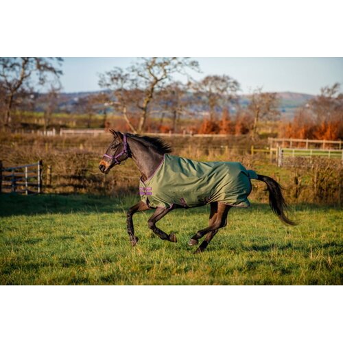 Horseware Ireland Pregrinjalo Amigo Hero Ripstop Turnout Rug Lite 0g, Bramble/Winterberry - 145 cm Cene