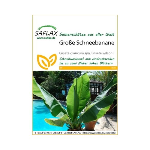 Saflax Velika snežna banana Cene