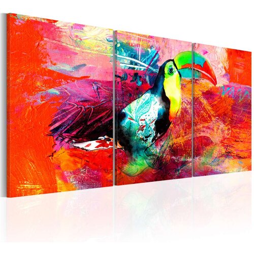  Slika - Colourful Toucan 120x60 Slike