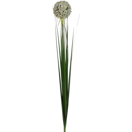 Edelman Umjetni cvijet Allium (Visina: 80 cm, Bijele boje, Plastika) Cijene