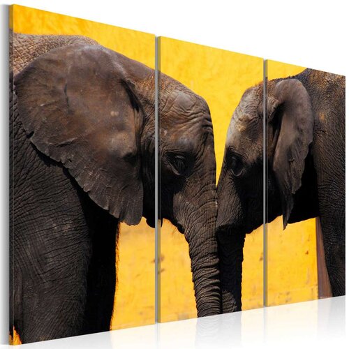  Slika - Elephant kiss 60x40 Slike