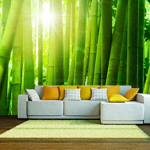  tapeta - Sun and bamboo 350x270