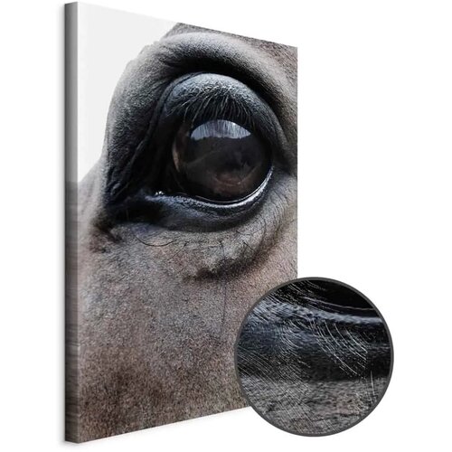  Slika - Honest Eyes (1 Part) Vertical 60x90 Premium Print Cijene