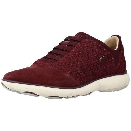 Geox modne superge d nebula bordo Cene