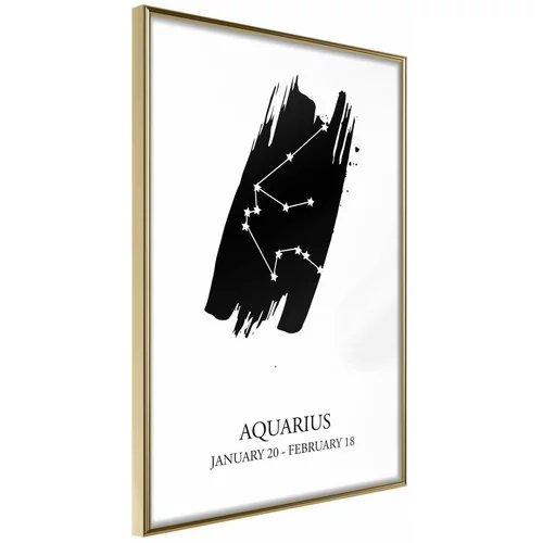  Poster - Zodiac: Aquarius I 20x30