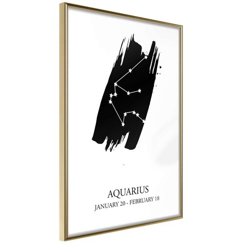  Poster - Zodiac: Aquarius I 20x30 Cijene