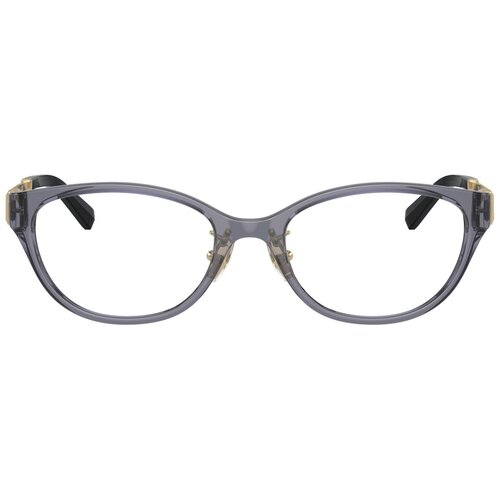Tiffany Naočare TF 2252D 8405 Cene