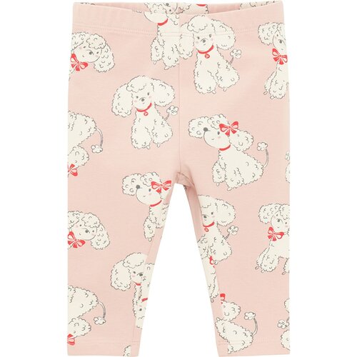 Cool club pajkice DH CCG3100469 D roza 68 Cene