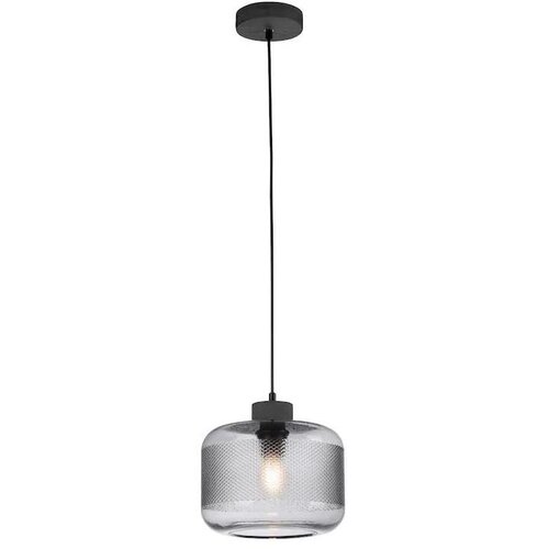 PAUL NEUHAUS 2005-25 - Luster na sajli BOLETUS 1xE27/10W/230V prečnik 23,5 cm siva Slike
